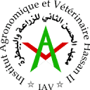 IAV Hassan II logo